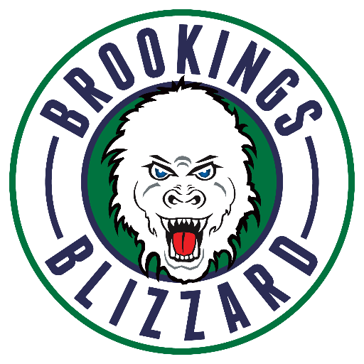 Brookings Blizzard 2016 17-Pres Primary Logo vinyl decal